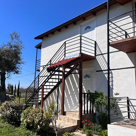 Vila Ari Borsh Exterior foto